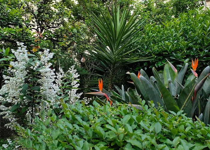 Apartamento La Casetta Montesilvano Marina