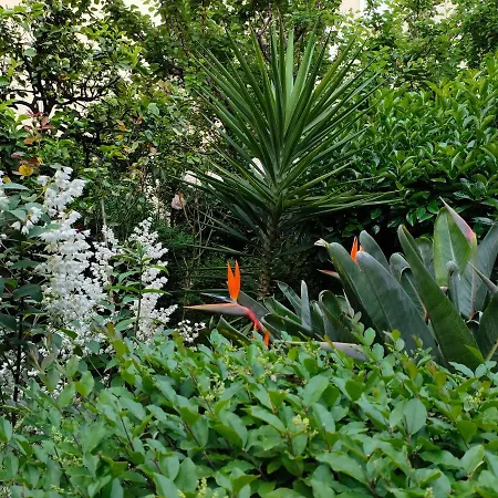 Appartamento La Casetta Montesilvano Marina